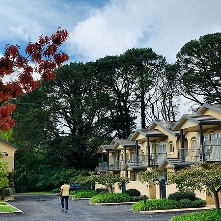 Falls Mountain Retreat Blue Mountains Wentworth Falls Luaran gambar
